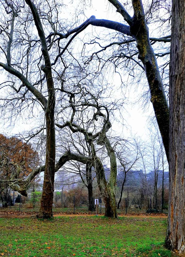 geobiologie Rhône-Alpes