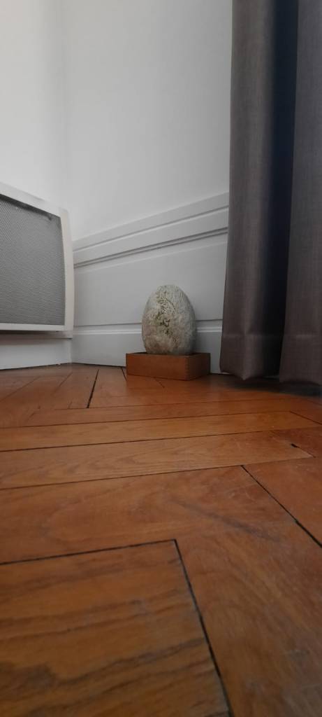 Géobiologie-Pierre-I-love-my-chez-moi-lyon-drôme-paysbasque